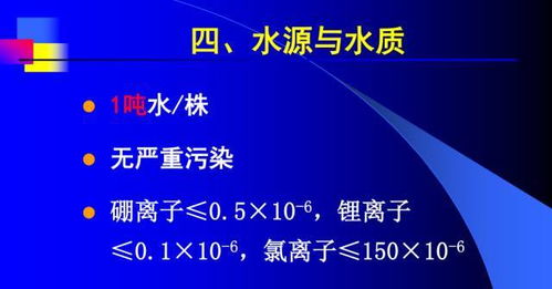 著名栽培专家彭良志研究员的精品课程 柑桔园规划建设与幼树管理 的ppt课件